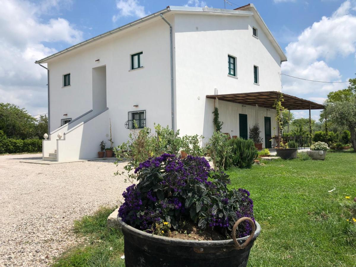 Casa Agricola Scorziello Villa Serre  Bagian luar foto